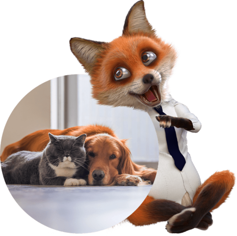 Volpe Prezzogiusto per Assicurazione Pet